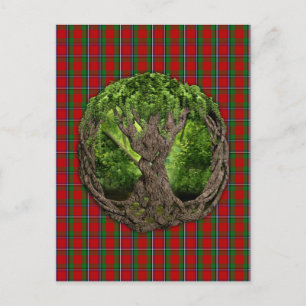 Celtic Tree Of Life And Clan Sinclair Tartan Postcard