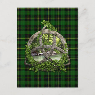 Celtic Trinity Knot And Clan MacAlpine Tartan Postcard