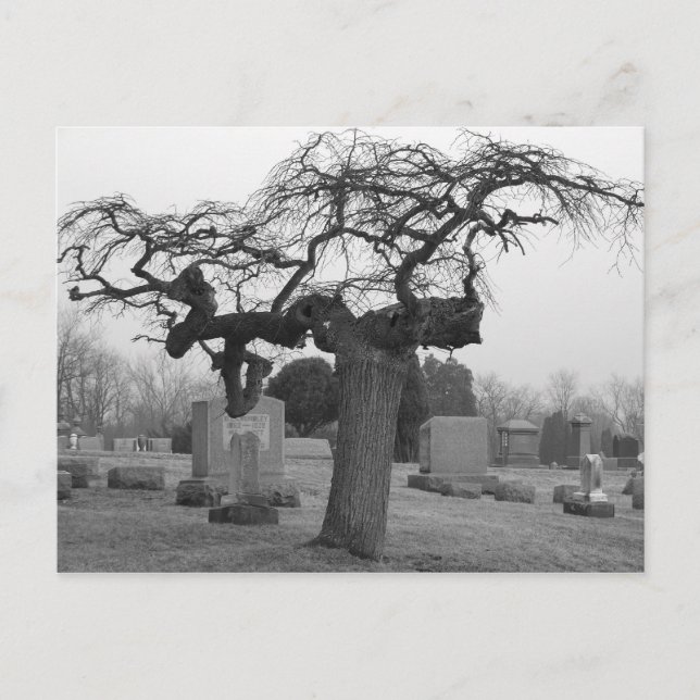 Cemetery Postcard (Front)