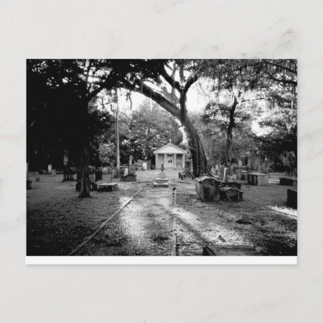 Cemetery Postcard (Front)