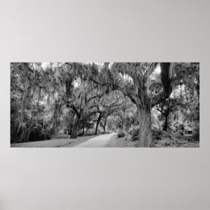 Cemtery, Savannah Ga, MD Photography Poster