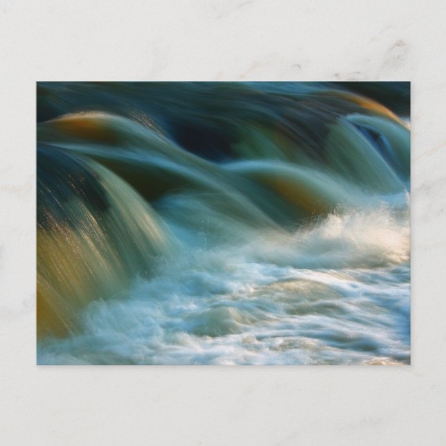 Cenarth Falls Postcard (Front)