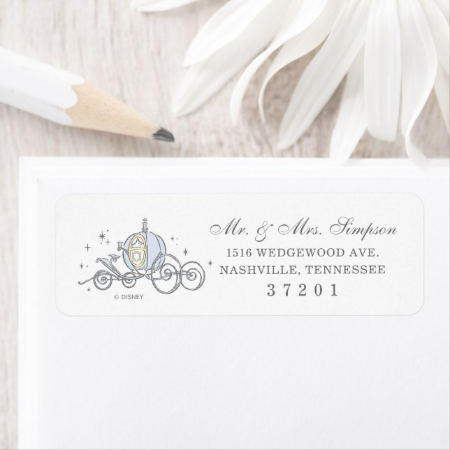 Cendrillon | Baby shower Fairytale (En situation)