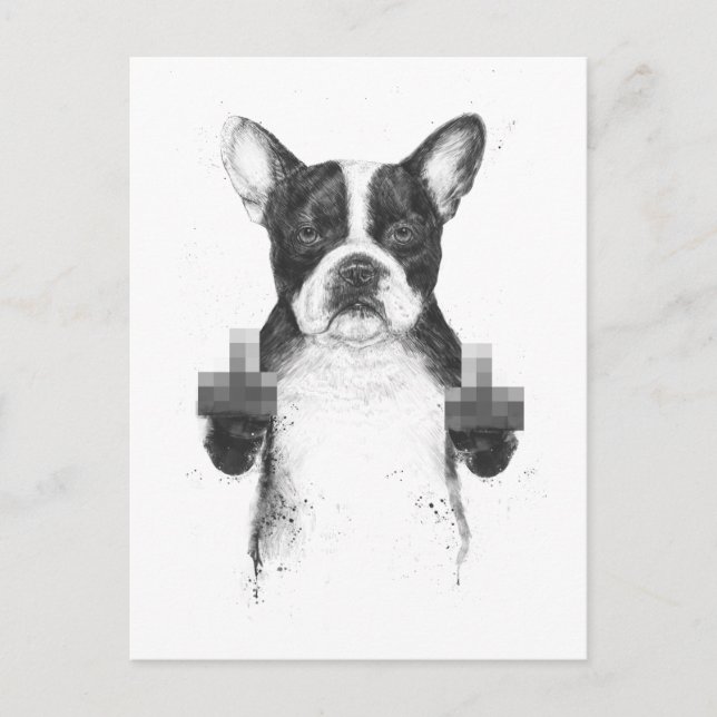 Censored dog postcard (Front)
