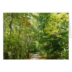 Centennial Wooded Path I Ellicott City Nature