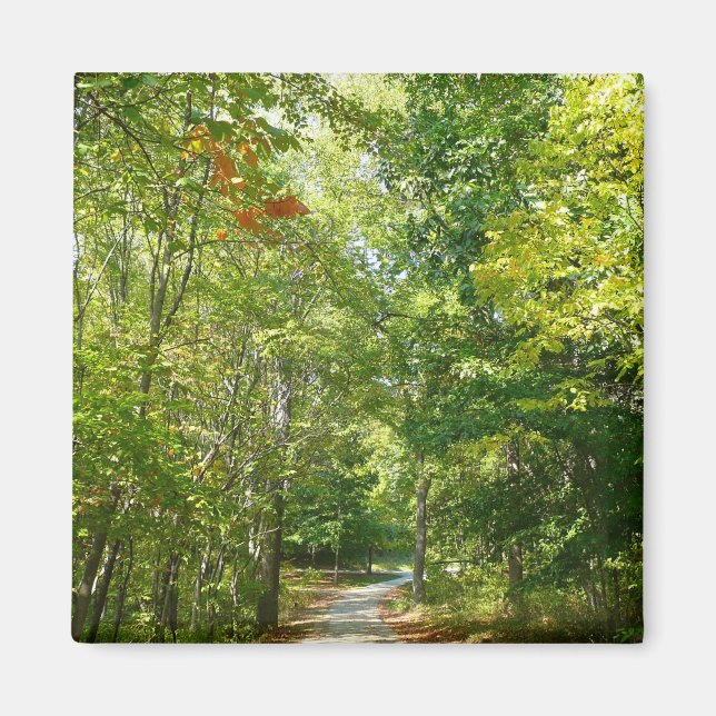 Centennial Wooded Path I Ellicott City Nature Magnet (Front)