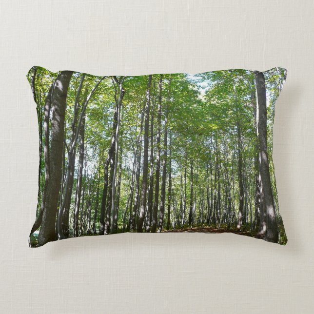 Centennial Wooded Path II Ellicott City Maryland Decorative Pillow (Front)