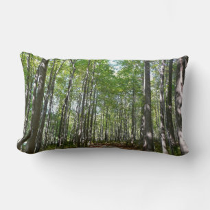 Centennial Wooded Path II Ellicott City Maryland Lumbar Pillow