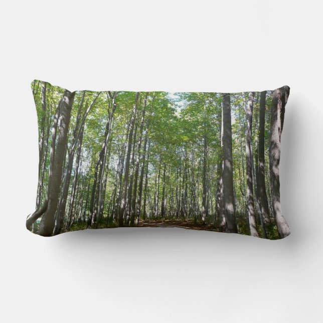 Centennial Wooded Path II Ellicott City Maryland Lumbar Pillow (Front)