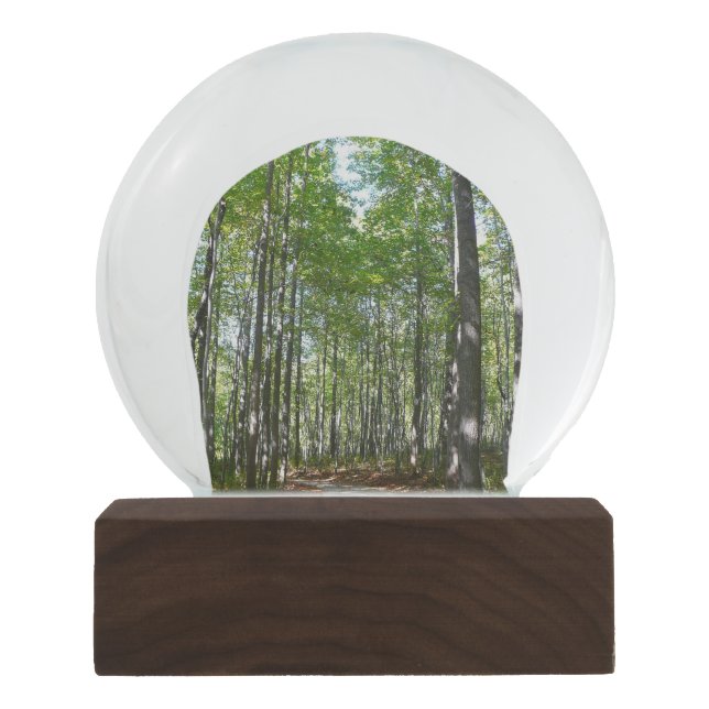 Centennial Wooded Path II Ellicott City Maryland Snow Globe (Front)