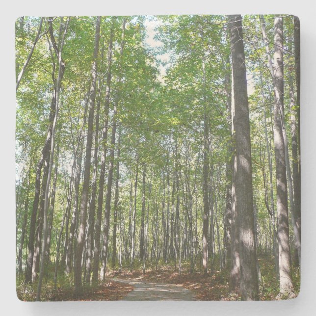 Centennial Wooded Path II Ellicott City Maryland Stone Coaster (Front)