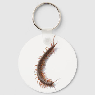 Centipede Keychain