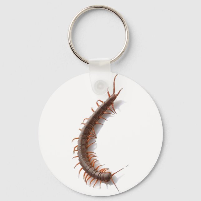 Centipede Keychain (Front)