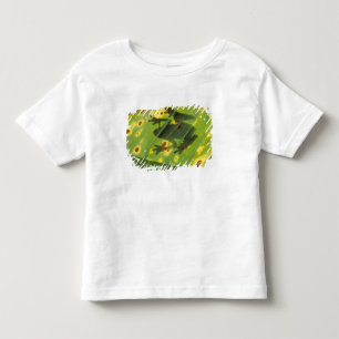 CENTRAL AMERICA, Costa Rica, Back-lit frog on Toddler T-shirt