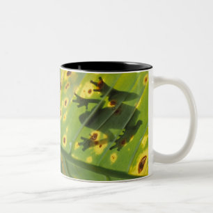 CENTRAL AMERICA, Costa Rica, Back-lit frog on Two-Tone Coffee Mug