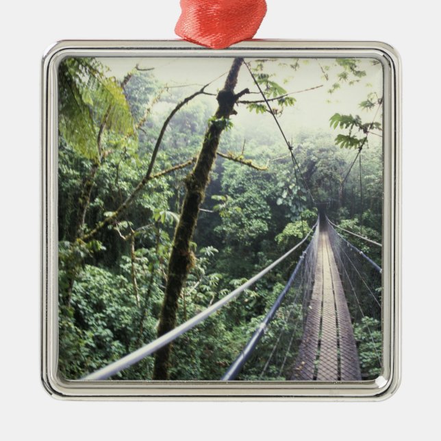 Central America, Costa Rica, Monteverde Cloud Metal Ornament (Front)