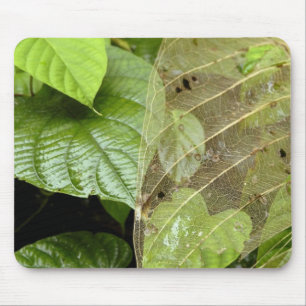 Central America, Costa Rica, Sarapiqui, Braulio Mouse Pad