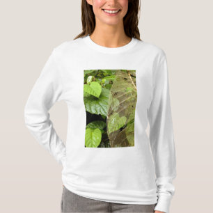 Central America, Costa Rica, Sarapiqui, Braulio T-Shirt