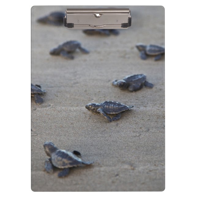 Central America, El Salvador, Pacific Ocean Clipboard (Front)