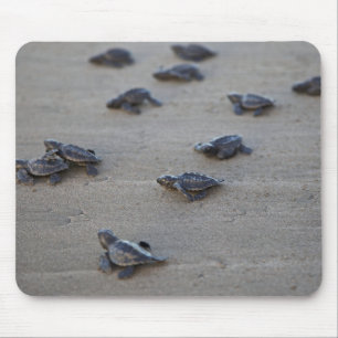 Central America, El Salvador, Pacific Ocean Mouse Pad