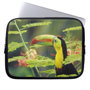 Central America, Honduras. Keel-billed Toucan Laptop Sleeve