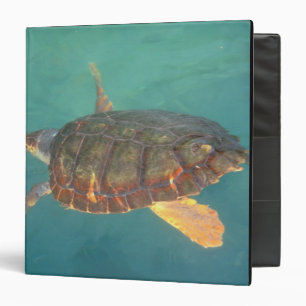 Central America, Panama, Bocas Del Torro Binder