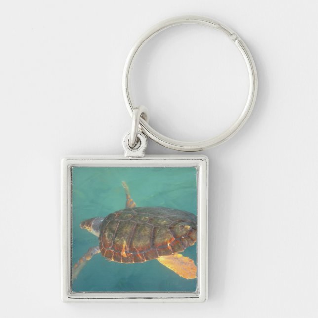 Central America, Panama, Bocas Del Torro Keychain (Front)