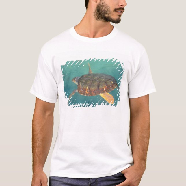 Central America, Panama, Bocas Del Torro T-Shirt (Front)