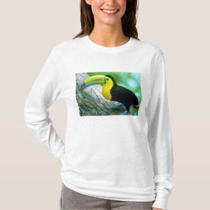 CENTRAL AMERICA, Panama, Borro Colorado Island 2 T-Shirt