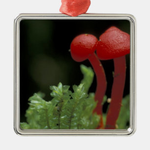 Central America, Panama, Chiriqui Province, 2 Metal Ornament