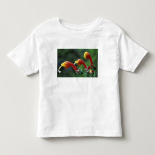 Central America, Panama, Chiriqui Province, Toddler T-shirt