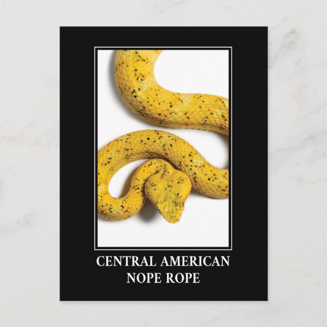 Central American Nope Rope - Viper Snake Danger Postcard (Front)