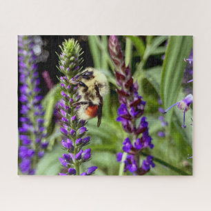 Central Bumblebee with Flowering Speedwell Plant Jigsaw Puzzle