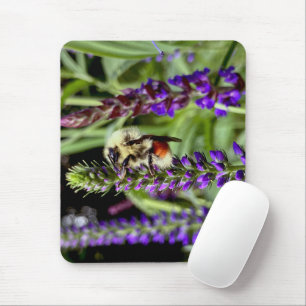 Central Bumblebee with Flowering Speedwell Plant Mouse Pad