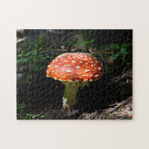Central Cascades, Washington State Jigsaw Puzzle