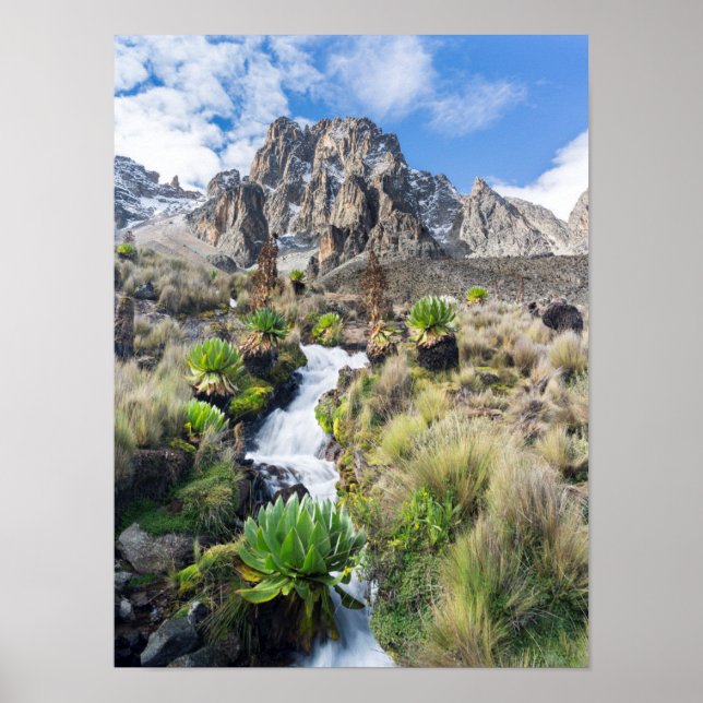 Central Mount Kenya National Park Poster (Front)