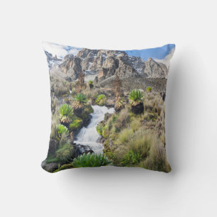 Central Mount Kenya National Park Throw Pillow