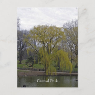 Central Park 003 Postcard