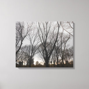 Central Park-1 Canvas Print