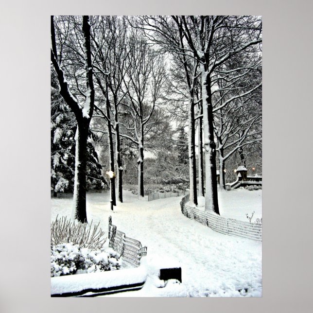 Central park 2010 Snow - CIMG6446 Poster (Front)