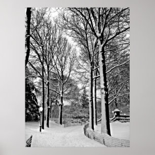Central park 2010 Snow - CIMG6447-a Poster