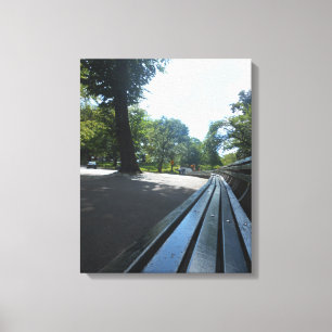 Central Park-4 Canvas Print