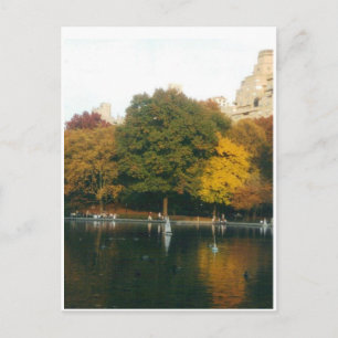 Central Park Boat Pond in Autumn Postcard