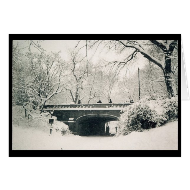 central park bridge (Front Horizontal)