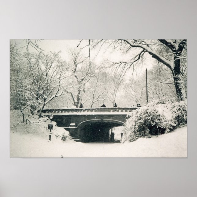 central park bridge poster (Front)