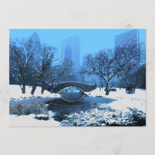 Central Park Bridge sur invitation à la neige au c