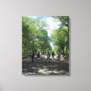 Central Park Canvas Print