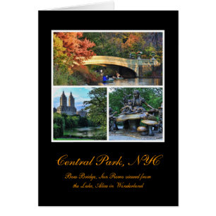 Central Park : Cintrez le pont, San Remo, Alice