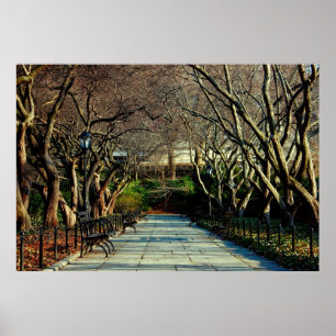 Central Park Conservatory Landscape Photo Poster