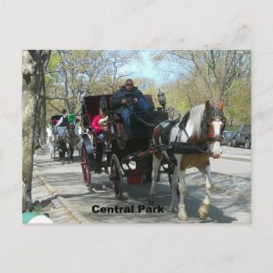 Central Park, Horse and Carriage Postcard